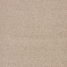 Ковролин AW Seduction 49 фото 1 | FLOORDEALER